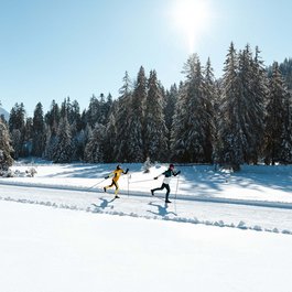 Zwei Langläufer im Schnee vor verschneiten Tannenbäumen bei Sonnenschein