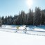 Zwei Langläufer im Schnee vor verschneiten Tannenbäumen bei Sonnenschein